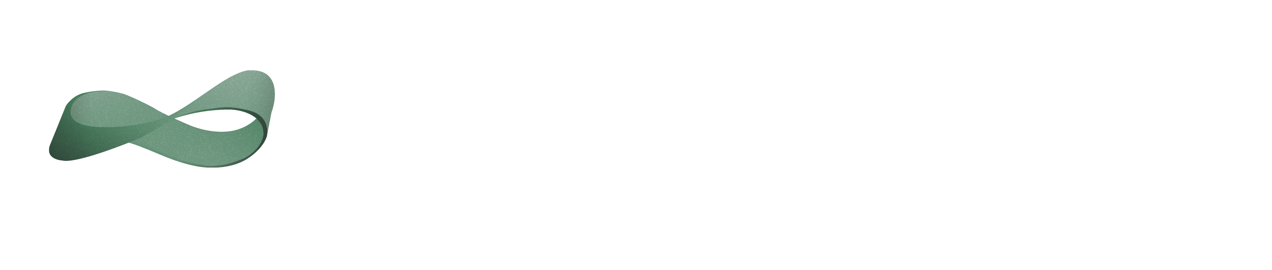 Transparent Software Logo